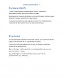 Artes visuales unidad didactica