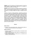 TÉCNICA DE INVESTIGACIÓN