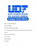 Antecedentes del derecho laboral en el mundo y en México