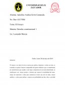 Desarrollo de un ensayo