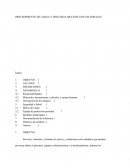 PROCEDIMIENTO DE CARGA Y DESCARGA MECÁNICO DE MATERIALES