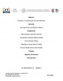 Reporte de Practica “Emulsiones”