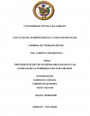 IMPLEMENTACIÓN DE HUERTOS ORGÁNICOS EN LAS FAMILIAS DE LA PARROQUIA HUACHI GRANDE