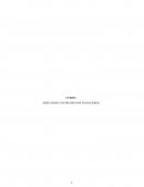 Mercados Financieros, empresa Aceros Arequipa