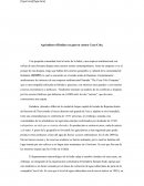 Agricultores Hindúes en guerra contra Coca-Cola