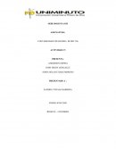 ESTADO DE SITUACION FINANCIERA empresa PROCESADORA DE AVES DE COLOMBIA SAS.