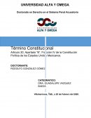 Datos de Pruebas del Imputado en el Término Constitucional