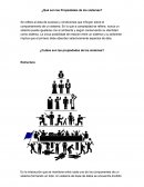 ¿Qué son las Propiedades de los sistemas?