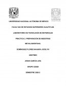 PRACTICA 2. PREPARACIÓN DE MUESTRAS METALOGRÁFICAS
