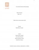 Trabajo entorno macroeconómico Italia