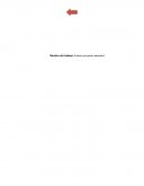 Por qué los milenials no quieren tener hijos