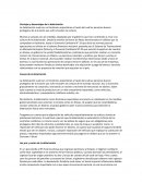 Ventajas y desventajas de la dolarización