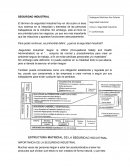 IMPORTANCIA DE LA SEGURIDAD INDUSTRIAL