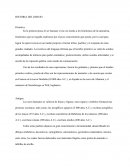 Evolución del dibujo