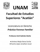 Práctica Forense Familiar
