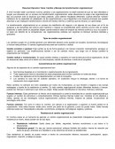 Control y transformación organizacional