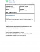 Mi brújula de salud