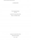 Que es una organizacion