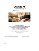 Actividad 2. La clasificación de los trabajadores burocráticos