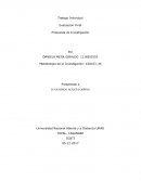 Perspectivas y acciones del Desarrollo Humano Sostenible en Colombia