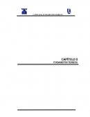 Trabajo profesional envase aragua cap 2