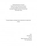 Principios fisiológicos y psicológicos para el mejoramiento de la aptitud física