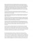 Fermentacion Láctica Ensayo