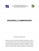 ENSAYO DESARROLLO EMBRIONARIO