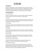 El parrafo