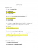 CUESTIONARIO CIBERSEGURIDAD