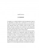 C A P Í T U L O 2 EL COASEGURO