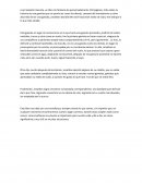 Juan Salvador Gaviota - Ensayo