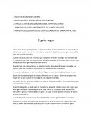 Resumen de El Gato Negro de Edgar Allan Poe