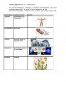 Campos de estudio de la biologia