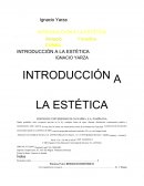 Introduccion a la estetica