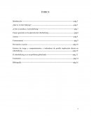 Ensayo sobre ciberbullying