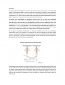 Genetica. La enfermedad de Huntington