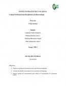 Proyecto Cuna térmica