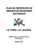 PLAN DE PREVENCION RIESGO DE DESASTRES NATURALES