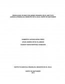 PROYECTO CULTIVO DE MAIZ