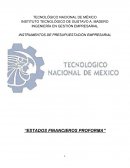 ESTADOS FINANCIEROS PROFORMA