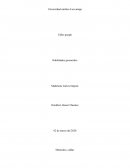 EL IMPACTO DE LA MOTIVACIÓN EN EL DESEMPEÑO DE SUS EMPLEADOS. ESTUDIO DE CASO GOOGLE