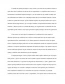 Capital psicológico