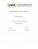 Caso nacional e internacional de Competencia perfeta