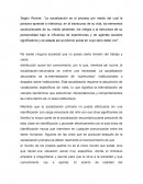 Ensayo socialización