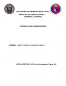 Teoria de las Organizaciones