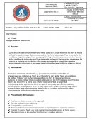 Bioseguridad en el Laboratorio