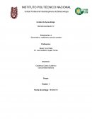 Bioinstrumentación IV Práctica No. 2 “ Goniómetro inalámbrico de dos canales”