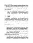 Alegatos de conclusión, incidente