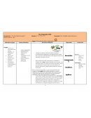 Diagnostico 6º grado ciencias